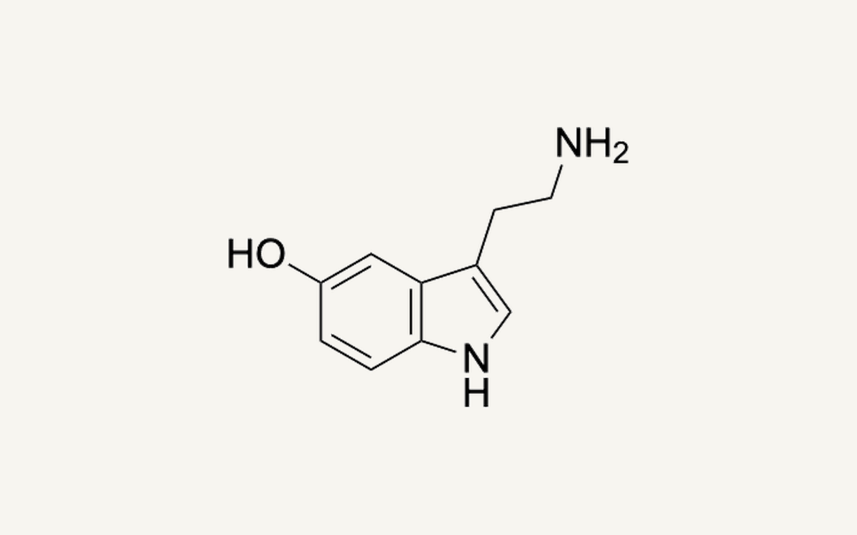 The skeletal chemical structure of the serotonin molecule