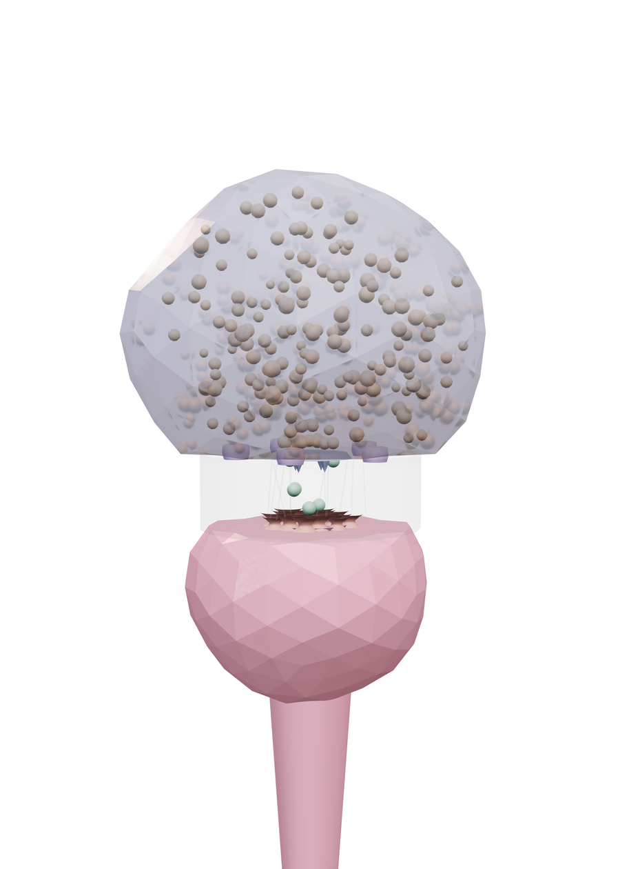 A stylized three-dimensional synapse with a presynaptic terminal, vesicles, the gap, and receptors