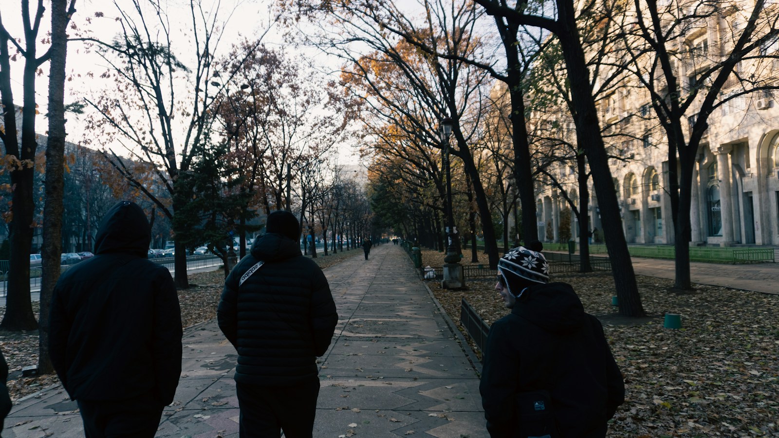 People walking a tree-lined path covered in autumn leaves